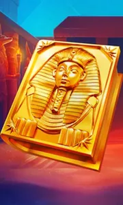 Book of Gold Multichance